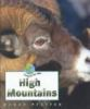 High_mountains