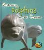 Watching_dolphins_in_the_ocean