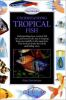 Understanding_tropical_fish