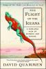The_flight_of_the_iguana