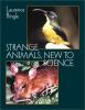 Strange_animals__new_to_science