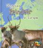 Watching_reindeer_in_Europe