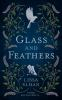 Glass_and_Feathers
