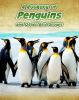 A_rookery_of_penguins__and_other_bird_groups