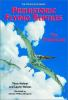 Prehistoric_flying_reptiles