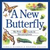 A_new_butterfly