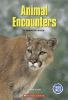 Animal_encounters