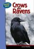 Crows_and_ravens