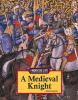 A_medieval_knight