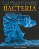 Cocci__spirilla___other_bacteria