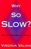 Why_so_slow_