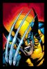 Essential_Wolverine