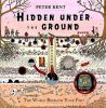 Hidden_under_the_ground