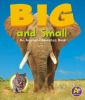 Big_and_small