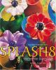 Splash_8