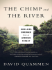 Chimp___the_River