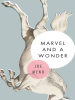 Marvel_and_a_Wonder
