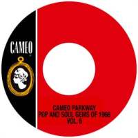 Cameo_Parkway_Pop_And_Soul_Gems_Of_1966_Vol__6