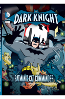 Dark_Knight__Batman_vs_Catwoman
