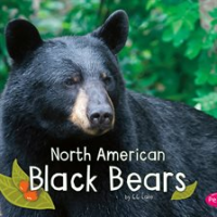 North_American_black_bears