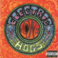 Electric_Love_Hogs