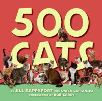 500_cats