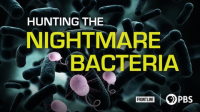 Frontline_-_Hunting_the_Nightmare_Bacteria