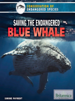 Saving_the_Endangered_Blue_Whale