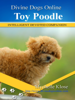 Toy_Poodles