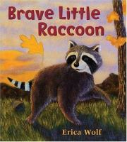 Brave_little_raccoon