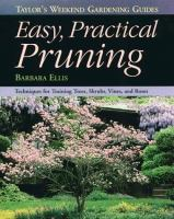 Easy_practical_pruning