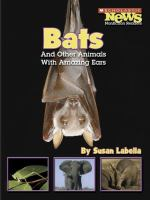 Bats_and_other_animals_with_amazing_ears