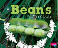 A_bean_s_life_cycle