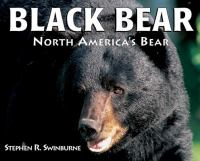 Black_bear