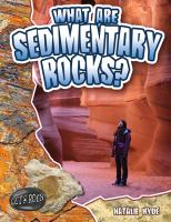 What_are_sedimentary_rocks_