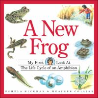 A_new_frog