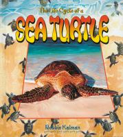 The_life_cycle_of_a_sea_turtle