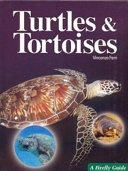 Tortoises_and_turtles
