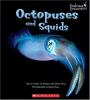 Octopuses_and_squids