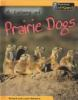 A_colony_of_prairie_dogs