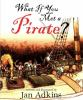 What_if_you_met_a_pirate_