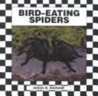 Bird-eating_spider