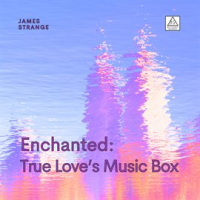 Enchanted__True_Love_s_Music_Box