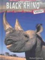 Black_rhino