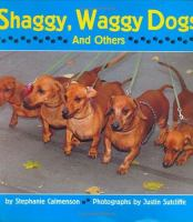 Shaggy__waggy_dogs__and_others_