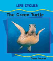 The_green_turtle