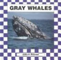 Gray_whale